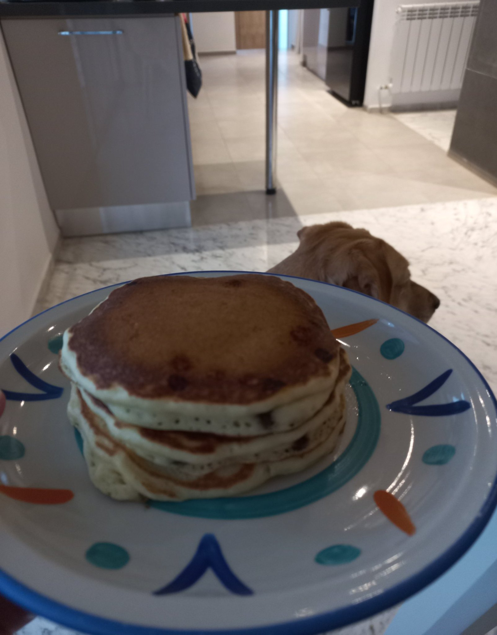 Photo by mbougatef_md